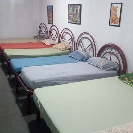 Hostel Santuario De Protecao Animal Filhos De Salomao Bragança Paulista Exteriér fotografie
