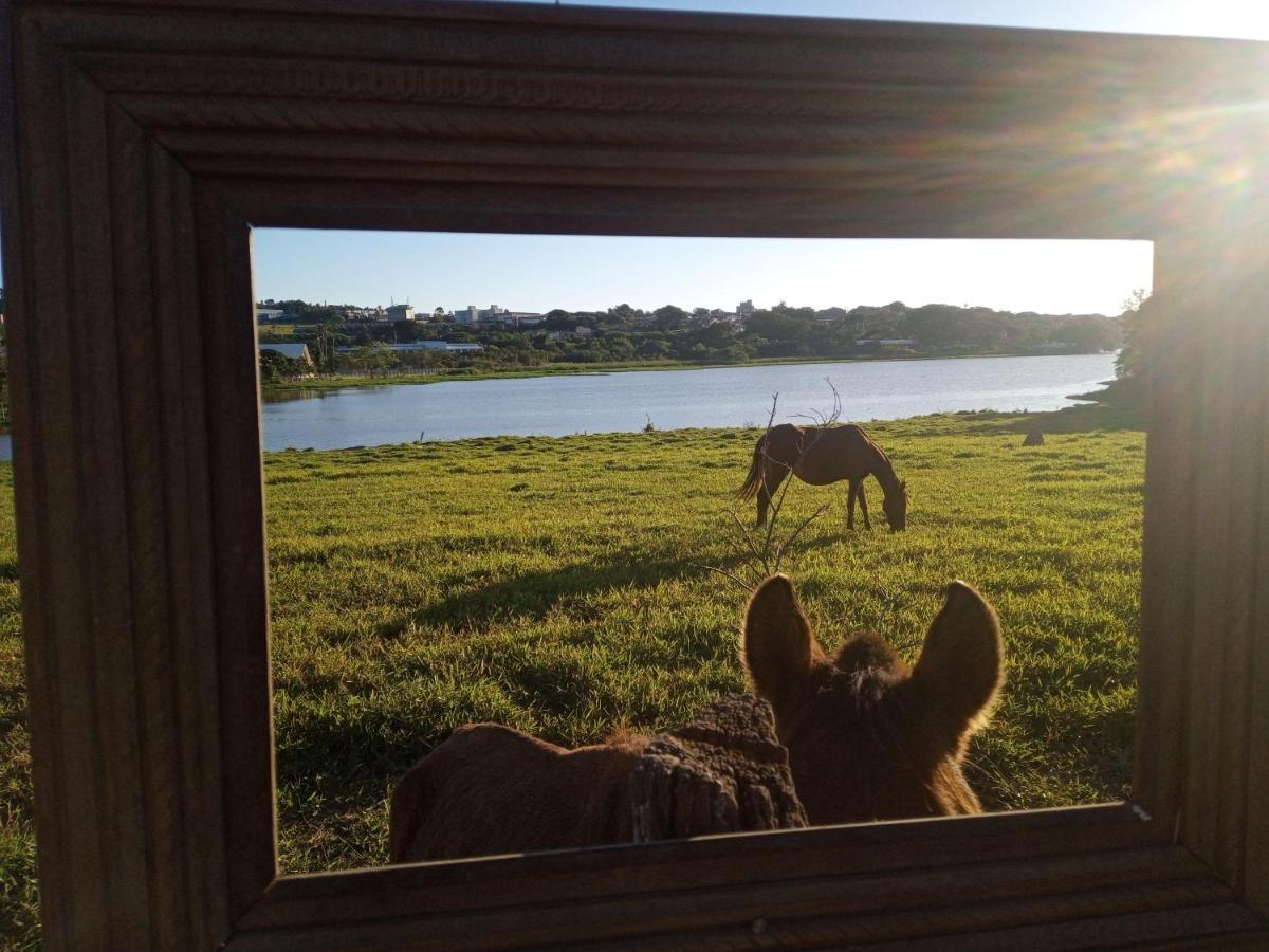 Hostel Santuario De Protecao Animal Filhos De Salomao Bragança Paulista Exteriér fotografie