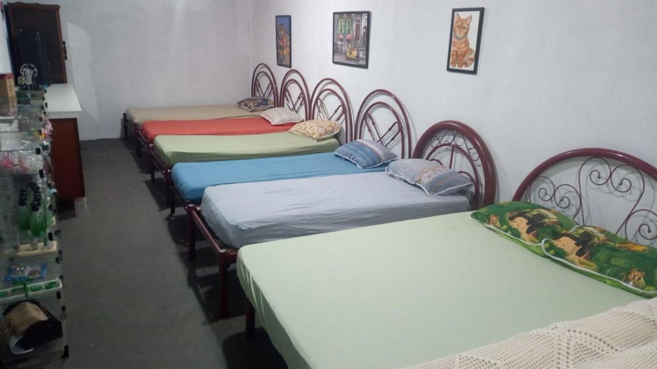 Hostel Santuario De Protecao Animal Filhos De Salomao Bragança Paulista Exteriér fotografie
