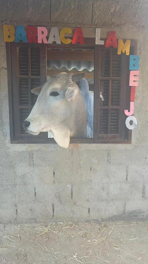 Hostel Santuario De Protecao Animal Filhos De Salomao Bragança Paulista Exteriér fotografie